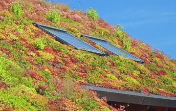 Swarkestone living roof systems